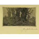 JAKUBOWSKI, Stanisław (1885–1964) — Willows [No. 33/35; the plates were subsequently destroyed; etching]