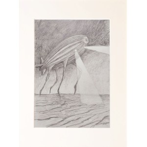 Waldemar Wroński (b. 1952), Untitled