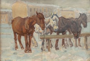 Jan Erazm Kotowski, Konie