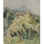 Jadwiga Trzcińska, Pejzaż z malwami, 1953 r.