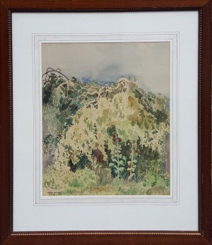 Jadwiga Trzcińska, Pejzaż z malwami, 1953 r.