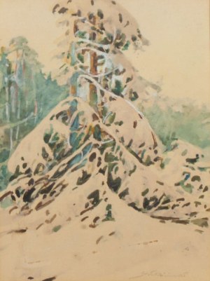 Stanisław Gibiński, Ośnieżony świerk