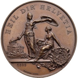 Schweiz - Thurgau - Kupfermedaille 1890 - Frauenfeld, Eidgenössisches Schützenfest - Switzerland, Swiss Shooting Medal