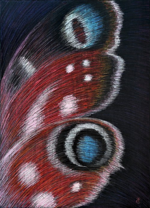 Tatiana Yeftymovska (ur. 1974), Peacock butterfly, 2025