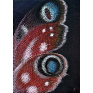 Tatiana Yeftymovska (b. 1974), *Peacock Butterfly*, 2025