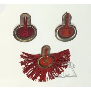 Assorted ceremonial epaulets. Württemberg, up to 1918.