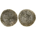 The Teutonic Order, a half-savage