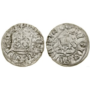 Polska, półgrosz koronny, (1408), Kraków