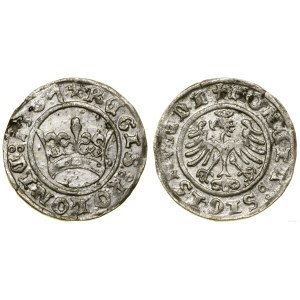 Poland, half-grosz, 1507, Kraków