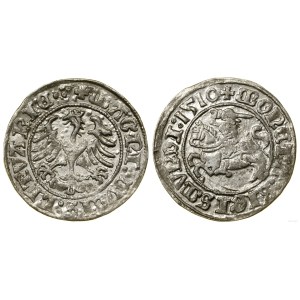 Poland, half-grosz, 1510, Vilnius