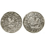 Poland, half-grosz, 1510, Vilnius