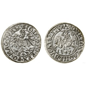 Polska, półgrosz, 1547, Wilno