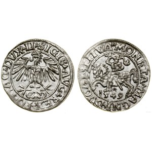 Polska, półgrosz, 1549, Wilno