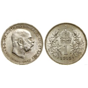 Austria, 1 krone, 1915, Vienna
