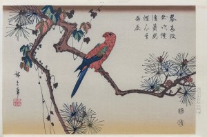 Utagawa Hiroshige (1797 - 1858), Ara na gałęzi sosny, wyd. Oedo Mokuhansha, Tokio/Japonia, okres Showa, po 1960 r.