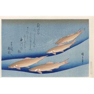 Utagawa Hiroshige (1797–1858), River Trout, from the series *All About Fish*, published by Oedo Mokuhansha, Tokyo, Japan, Showa period, after 1960.