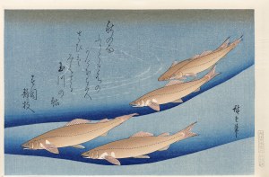 Utagawa Hiroshige (1797 - 1858), Pstrąg rzeczny, z serii: Wszystko o rybach, wyd. Oedo Mokuhansha, Tokio/Japonia, okres Showa, po 1960 r.