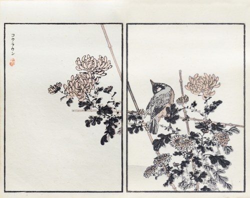 Kōno Bairei (1844-1895), Bilbil i chryzantemy, wyd. Ōkura Magobei, Tokio/Japonia, 1881 r.