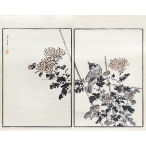 Kōno Bairei (1844–1895), Bilbil and Chrysanthemums, published by Ōkura Magobei, Tokyo, Japan, 1881.
