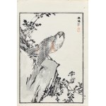 Kōno Bairei (1844-1895), Drozd skalny, wyd. Ōkura Magobei, Tokio/Japonia, 1881 r.