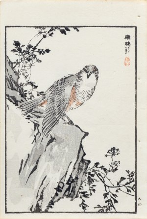 Kōno Bairei (1844-1895), Drozd skalny, wyd. Ōkura Magobei, Tokio/Japonia, 1881 r.
