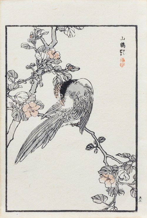 Kōno Bairei (1844-1895), Kitta błękitna i kamelia, wyd. Ōkura Magobei, Tokio/Japonia, 1881 r.