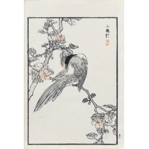 Kōno Bairei (1844–1895), Modrá kitta a kamélia, vyd. Ōkura Magobei, Tokio/Japonsko, 1881.
