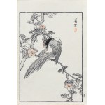 Kōno Bairei (1844-1895), Kitta błękitna i kamelia, wyd. Ōkura Magobei, Tokio/Japonia, 1881 r.