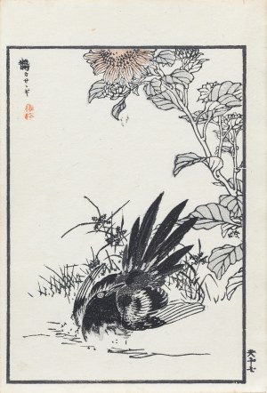 Kōno Bairei (1844-1895), Kąpiąca się sroka i słonecznik, wyd. Ōkura Magobei, Tokio/Japonia, 1881 r.