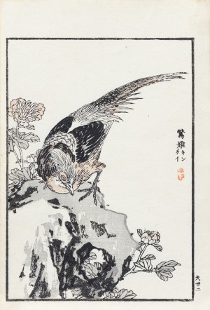 Kōno Bairei (1844-1895), Bażant i piwonia, wyd. Ōkura Magobei, Tokio/Japonia, 1881 r.