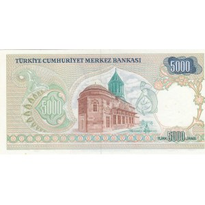 Turkey, 5.000 Lira, 1981, AUNC, 7/1. Emission, p196A