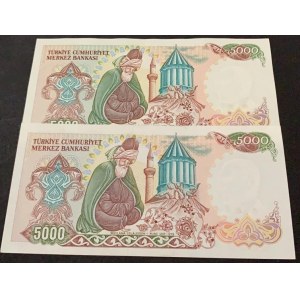Turkey, 5.000 Lira, 1985, UNC, 7/2. Emission, p197, (Total 2 banknotes)