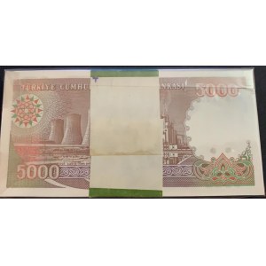 Turkey, 5.000 Lira, 1990, UNC, 7/4. Emission, p198, BUNDLE