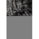 Łukasz MADSEN (ur. 1997), Skin 2, 2025