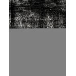 Łukasz MADSEN (ur. 1997), Skin 2, 2025
