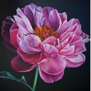 Marta Julia Piórko, *Peony* from the series *Portraits of Flowers*, 2026