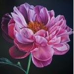 Marta Julia Piórko, *Peony* from the series *Portraits of Flowers*, 2026