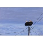 Weronika Sobecka, Storks, 2026