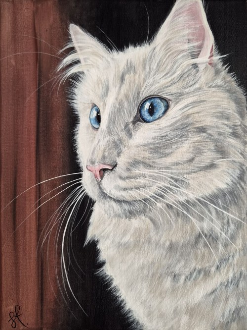 Sylwia CIUCHCIŃSKA (ur. 1984), Kot nr 2, z cyklu: 