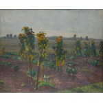 Abraham Neumann (1873, Sierpc – 1942, Kraków), A Field of Sunflowers