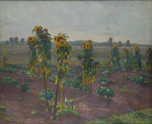 Abraham Neumann (1873 Sierpc - 1942 Kraków), Pole słoneczników