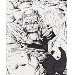 Piotr Kowalski (ur. 1973), Marvel Knights. Hulk-Transforme, plansza, 2014
