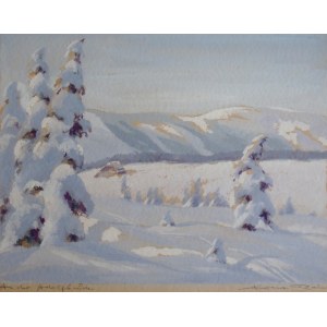 Franz Baier Widok na Adolfbaude (Lužická bouda)