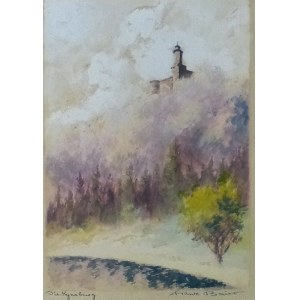 Franz Bayer „Widok zamku Grodno”