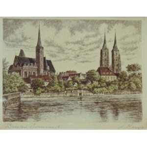 A. Ramer, “View of Ostrów Tumski”