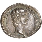 Se lignende