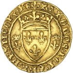 Zobacz podobne