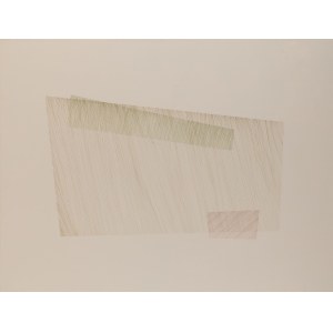 Anna Szprynger, born in 1982, Jasne (4), 2010