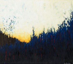 Nowiński Piotr, ur. 1978 w Warszawie, Zachód słońca, 2012 r.