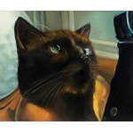 Rogalski Paweł, The Cat, 2017